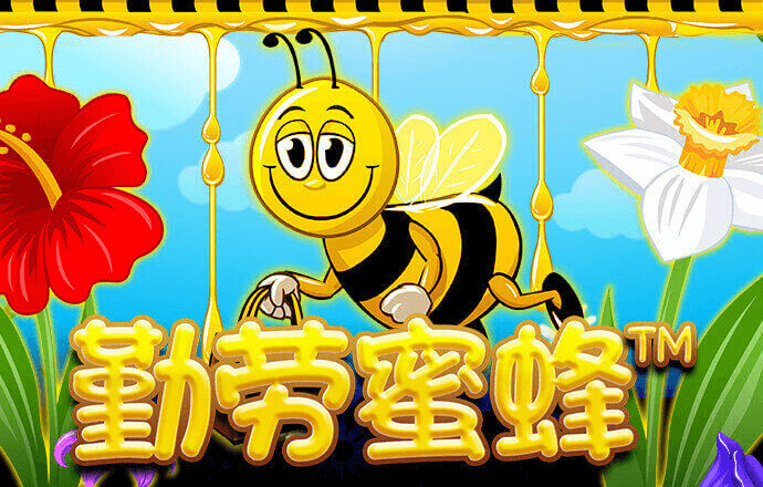 威斯尼斯人60555