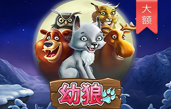 新澳门一肖一码精准资料公开